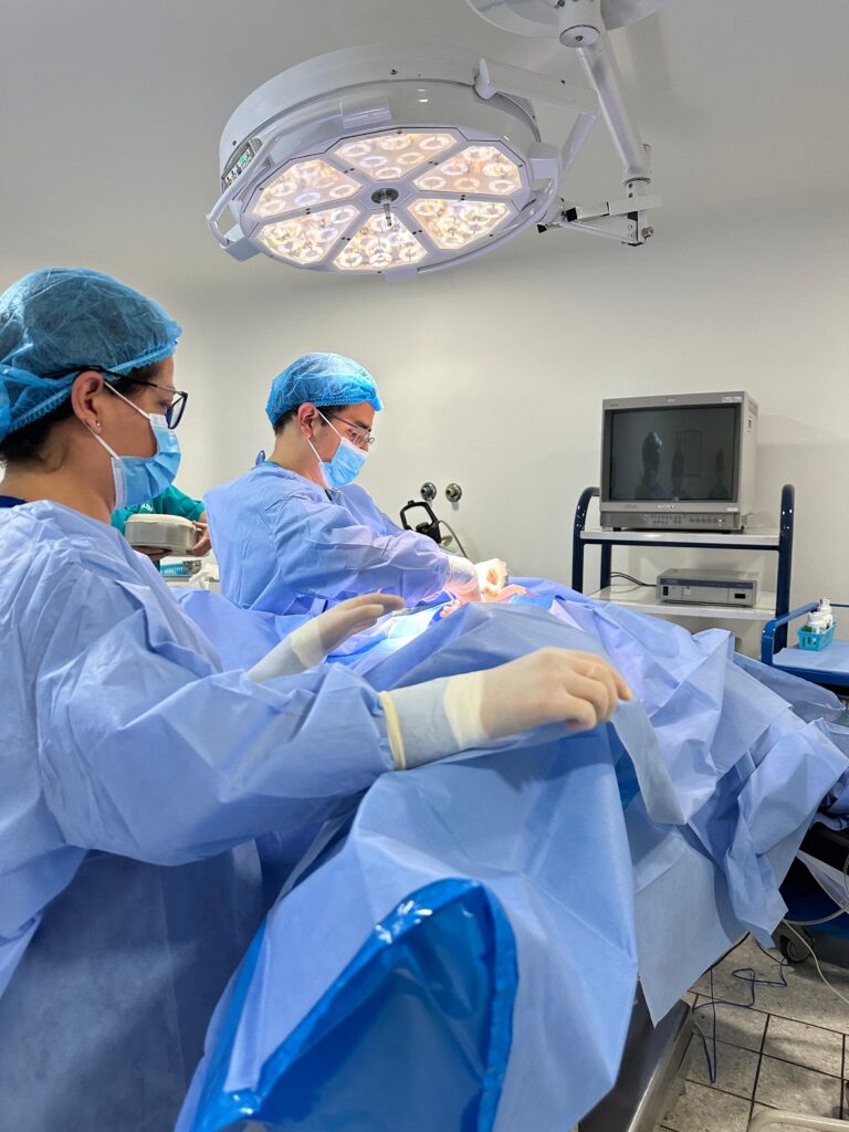 WhatsApp Image 2026-04-01 at 5.47.43 PM